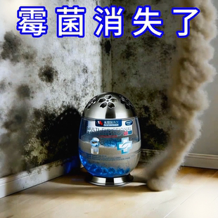 美国除霉剂去霉斑霉菌墙体超强吸附分解清洁净化空气持久清除神器