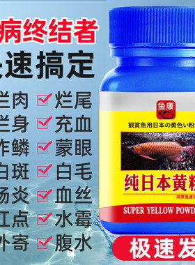 【增强免疫力】日本黄粉鱼儿专用