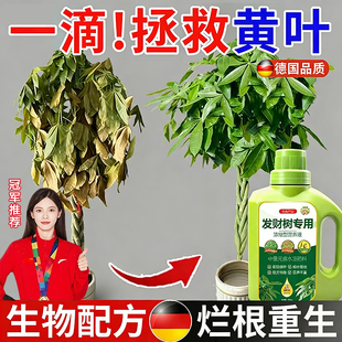 德国营养液植物专用发财树绿萝室内盆栽富贵竹发黄叶枯叶生根肥料