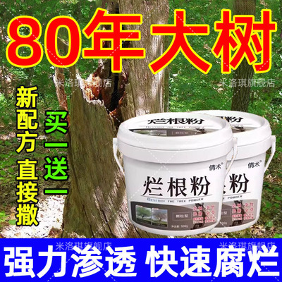 环嗪哃烂根大树专用药强力腐树根
