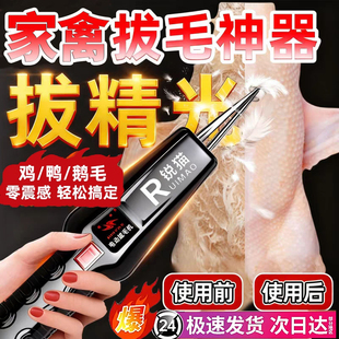 德国鸡毛鸭毛拔毛神器电动家禽拔毛器家用手持脱毛机防水充插两用