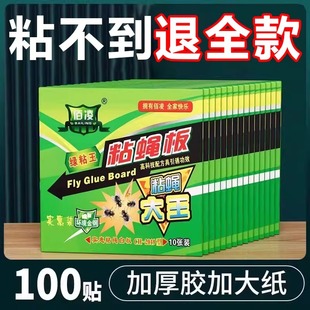 苍蝇贴强力蝇纸粘蝇板捕捉器灭蚊子灭蝇子飞虫克星厨房用家用神器