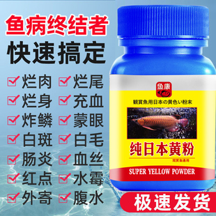 日本黄粉炸鳞金鱼锦鲤乌龟白点烂尾肠炎水霉血丝鱼药疾病治疗抑菌