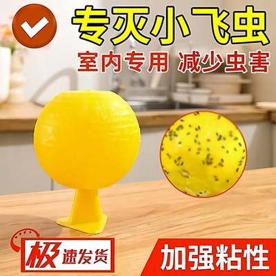 室内外可用高效果蝇诱捕器