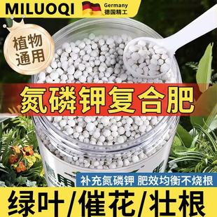 园艺养花肥料三元 氮磷钾通用型复合肥绿叶催化蔬菜花卉果树专用肥