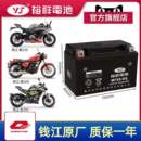 裕祥YTX9 BS钱江摩托车电瓶追350追600赛600赛450闪300鸿125电瓶