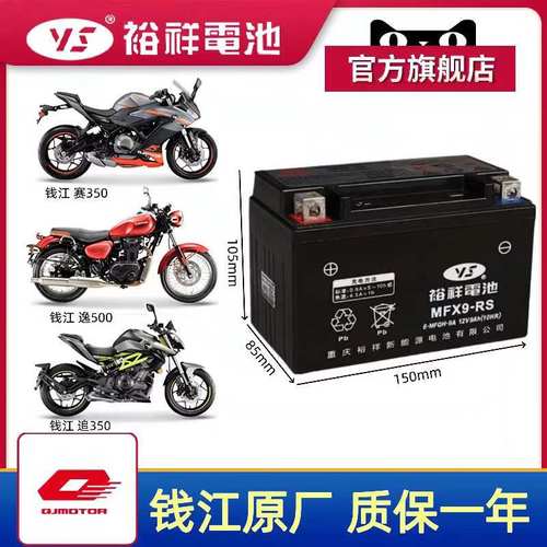 裕祥YTX9-BS钱江摩托车电瓶追350追600赛600赛450闪300鸿125电瓶