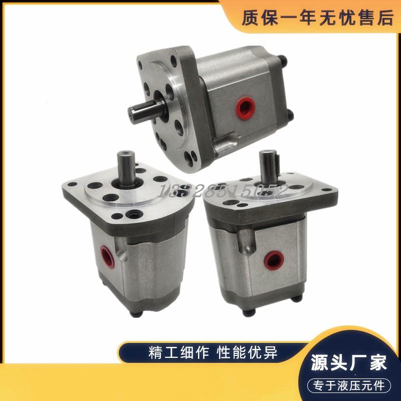 西班牙ROQUET高压齿轮泵1M0.5/0.7/1/1.25/1.5/2DF09R液压泵定制