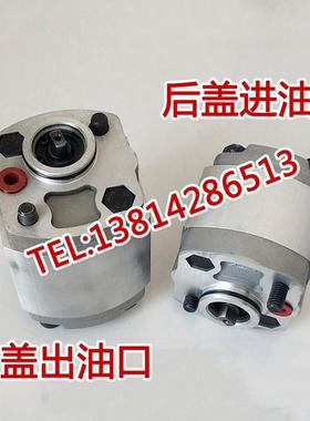 齿轮泵L2P-F1.6-LKB-NOBF F1.2 F2.1 F0.75 F0.8 F2.7 F3.2 F3.7