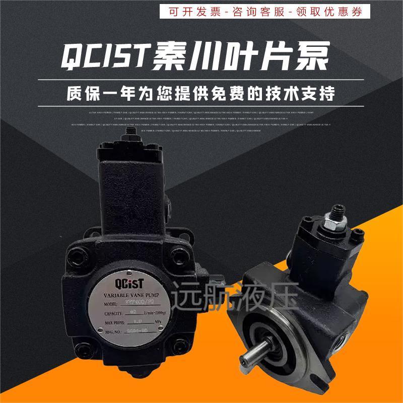 秦川机床数控油泵VVP15B/20 VVP20B/35 VVP30B/55 VVP40B/70QCIST