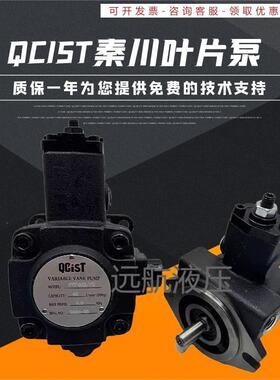 秦川机床数控油泵VVP15B/20 VVP20B/35 VVP30B/55 VVP40B/70QCIST