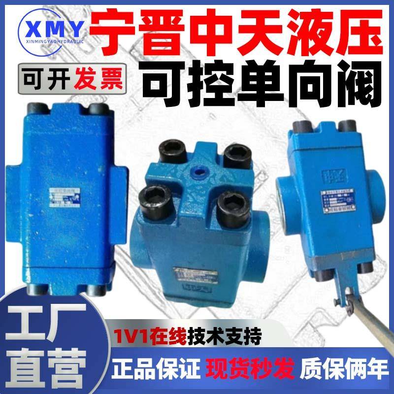 宁晋中天液压阀4D2可控液控单向阀5D2a 6D2 7D2 8D2 DDFY-L32H/40