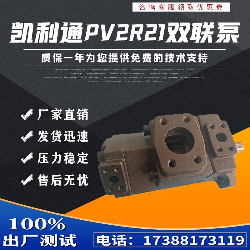 原装注塑机液压油泵双联叶片泵 PV2R11 PV2R21 47 19 59 23 65 31