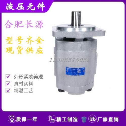 合肥长源CBGX/CBGZ/CBGTC2040/2050/2063/2080/2100-BFP/BLHL/BLP