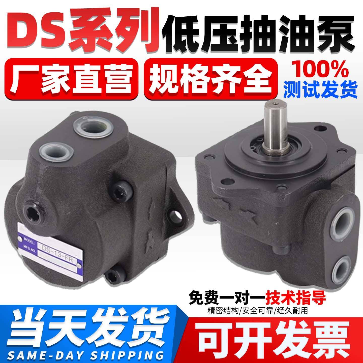 叶片泵DS-11/12/13/14-FR/LR低压抽油泵 小型定量液压泵