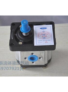 SDH上海大众齿轮泵CBTt-F304 306 308 310 314 316 320 325F3P7压