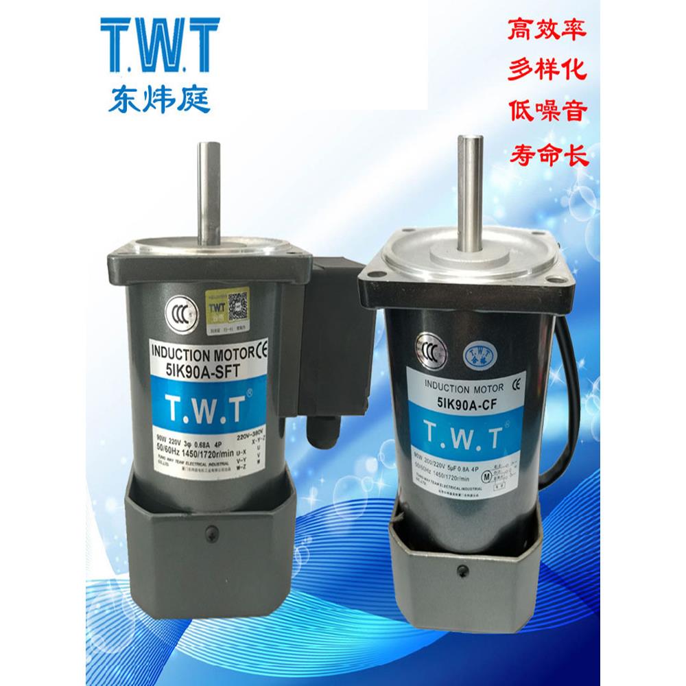 TWT东炜庭马达5RK 5IK60A-CF AF YF SF CFT SFT YFT CM YM电机60W