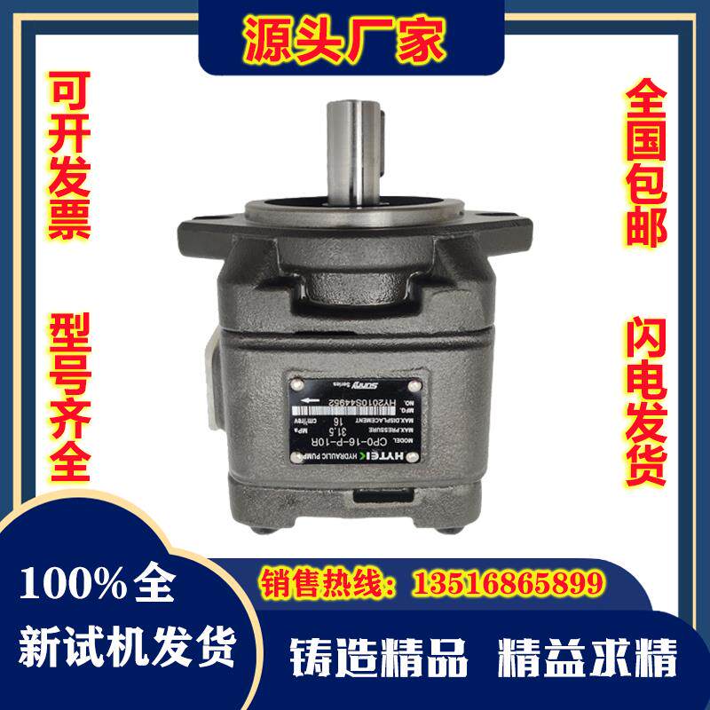 海特克内啮合齿轮泵HG2-80/100/125/160-01R-VPC SUNNY伺服油泵