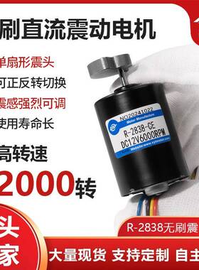 新永泰R-2838无刷直流震动电机12V24V小型微型震动器马达