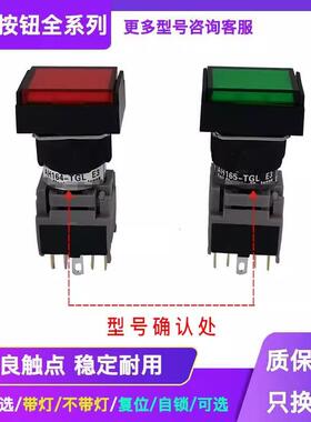 按钮开关AH165-TGL E3 TGLG11E3 TGLR11E3 AH165-TGL5 E3