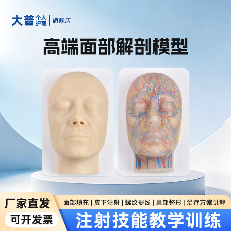 人脸血管神经分层注射填充模型