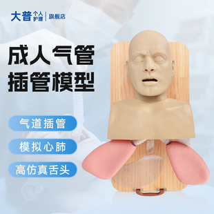 成人医用可视喉镜气管插管模型模拟人体鼻咽医学护理急救训练教学