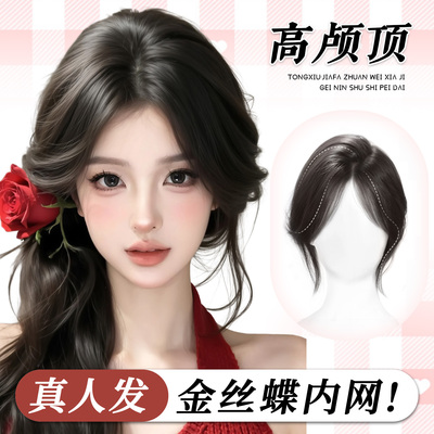 真人发金丝蝶内网高颅顶八字刘海