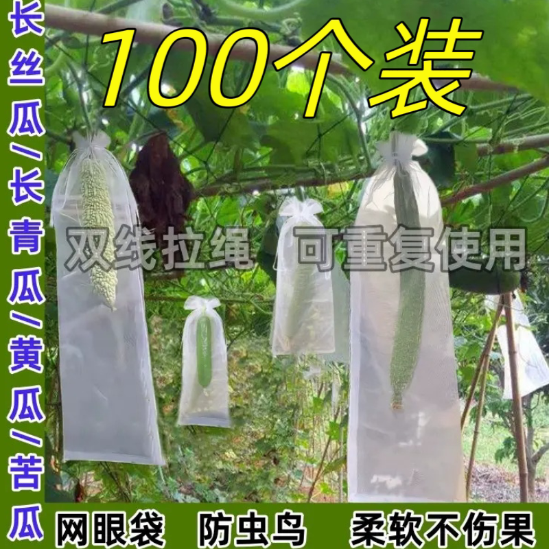 丝瓜黄瓜苦瓜防虫无纺布套袋