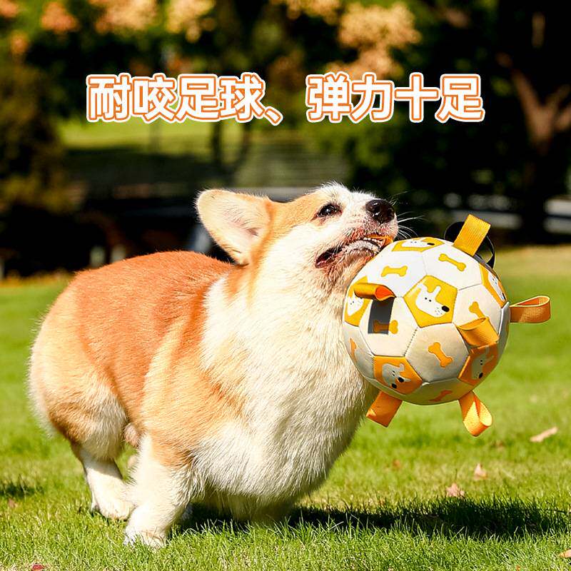 狗狗足球玩具耐咬磨牙边