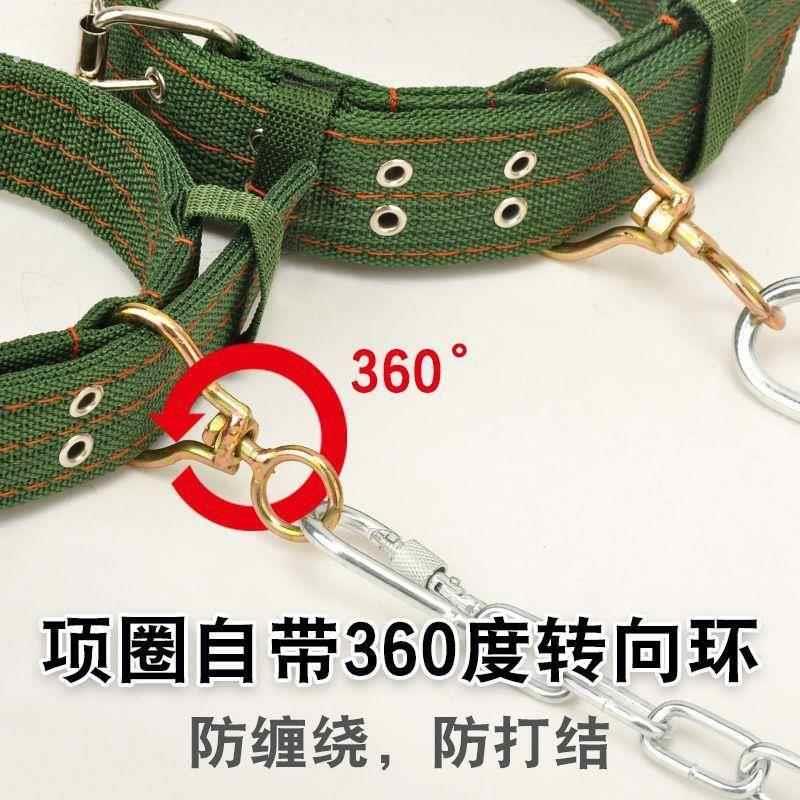 防咬牵引绳拴狗铁炼加长5米家用狗炼子加粗铁炼条狗项圈脖套遛狗