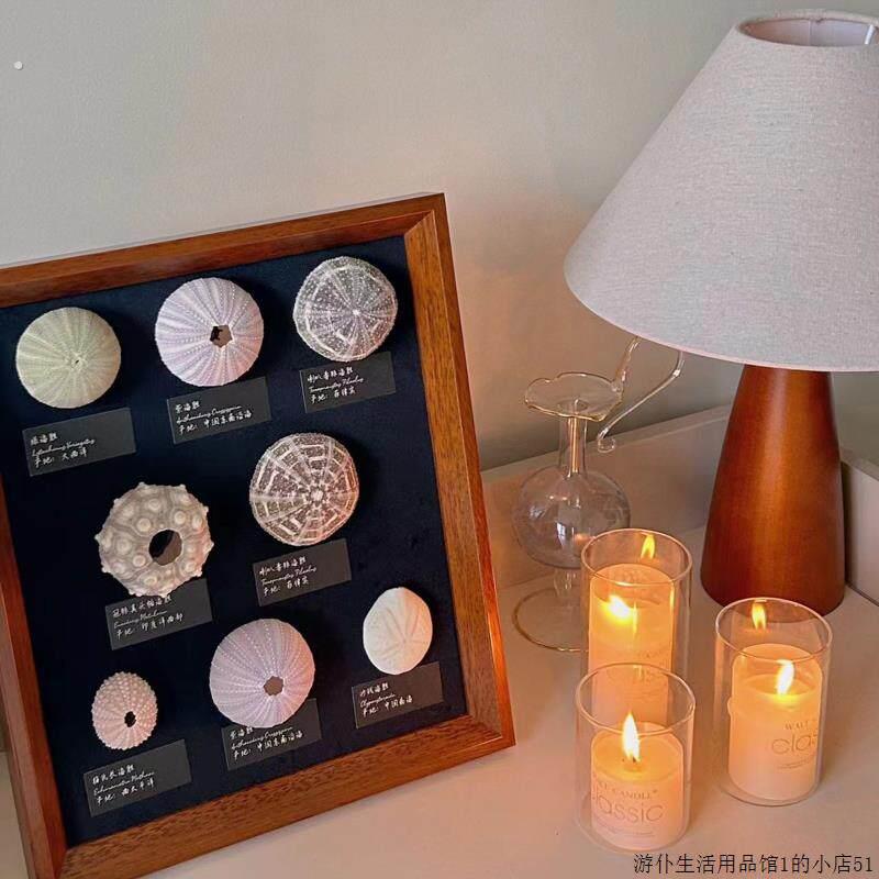 有胆亮夜灯海胆灯标本软装男生摆件装饰画生日礼物挂画