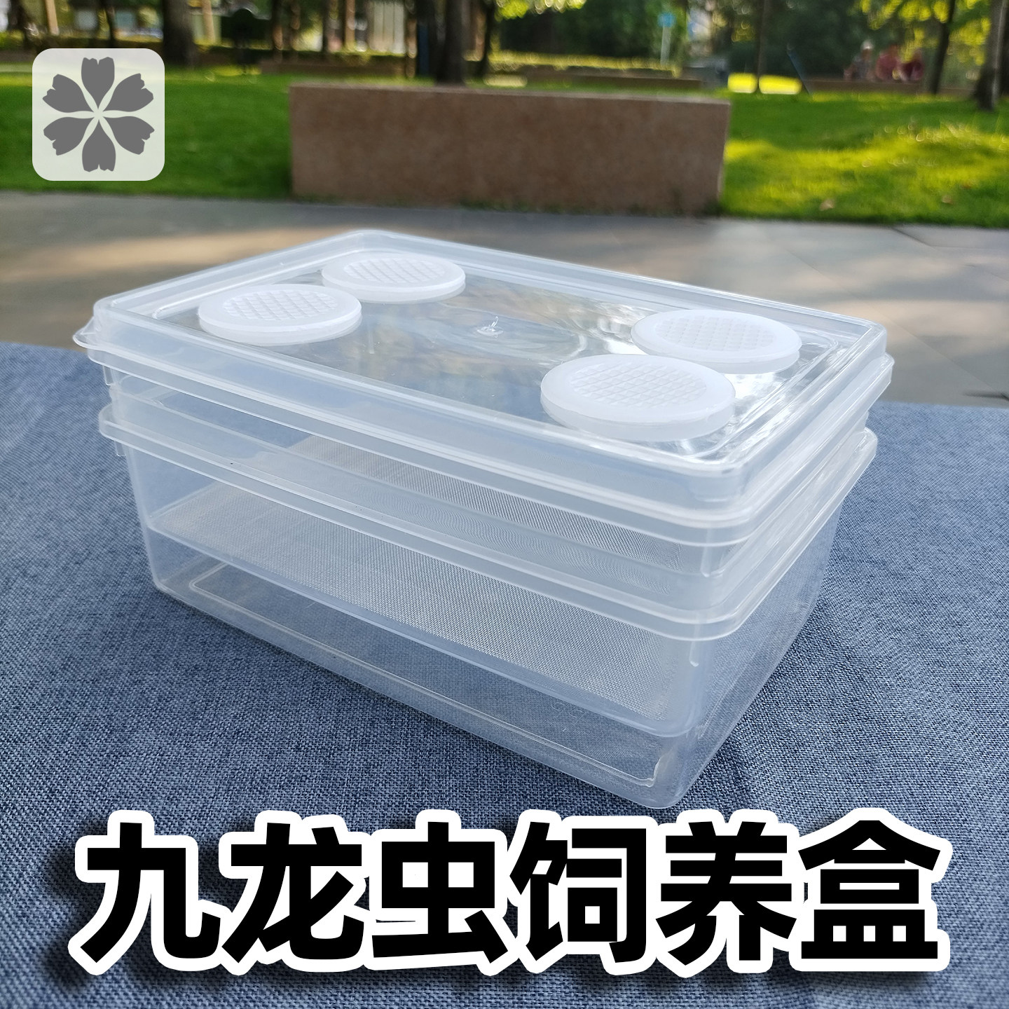 九龙虫养殖盒洋虫盒饲养箱