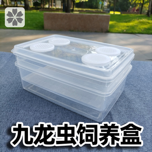 九龙虫养殖盒洋虫盒幼虫爬宠繁殖盒筛选过滤粪便防臭防潮饲养箱