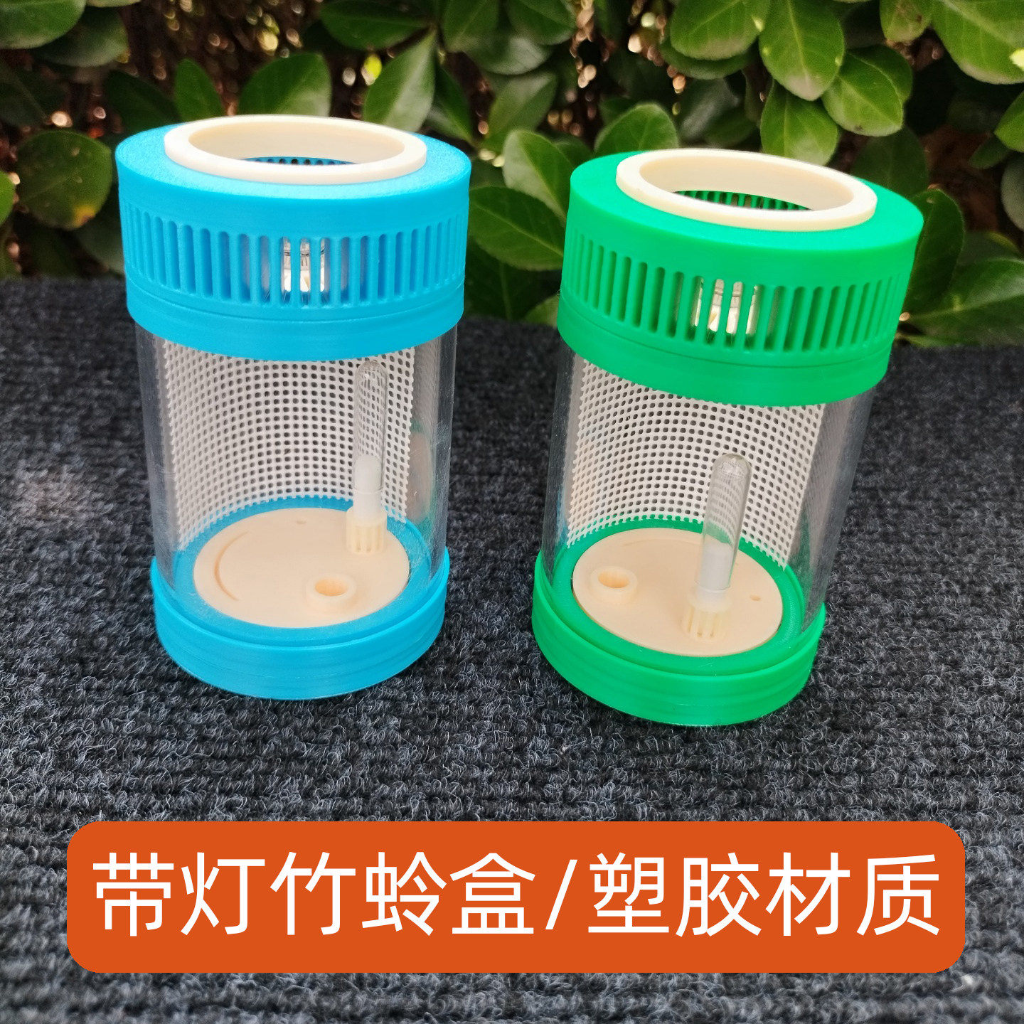 新款带灯竹蛉筒亚克力有机虫罐