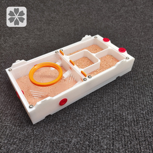 平面石膏巢 蚂蚁巢介质保湿 大小巢室新后小群巢适合新手