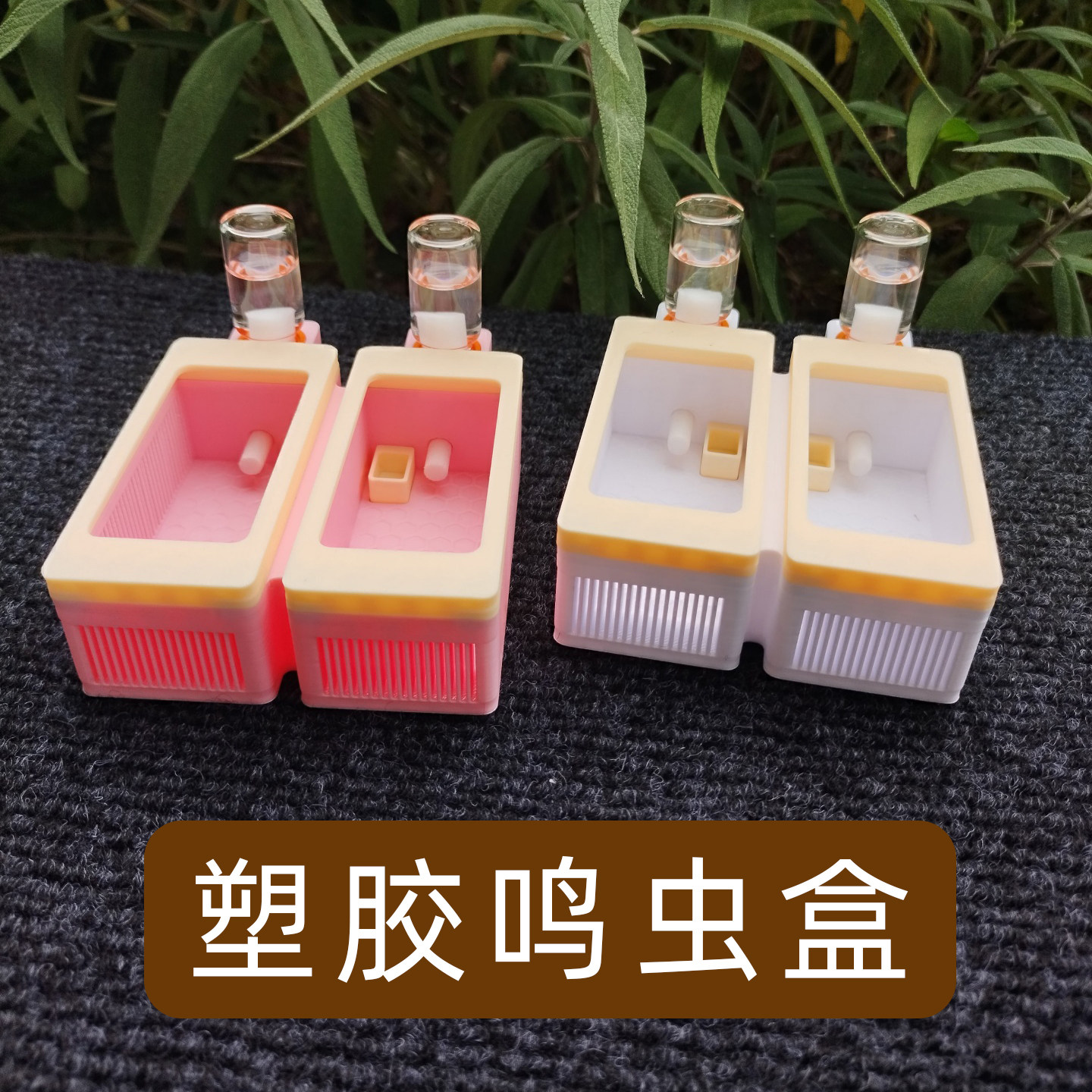 新款鸣虫竹蛉饲养盒大黄蛉盒塑料虫具蛉子蛉虫盒加湿器保湿