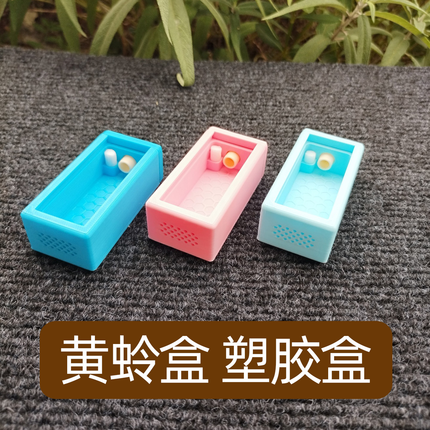新款大小黄蛉饲养盒鸣虫盒塑料虫具蛉盒蛉子蛉虫盒加湿器保湿