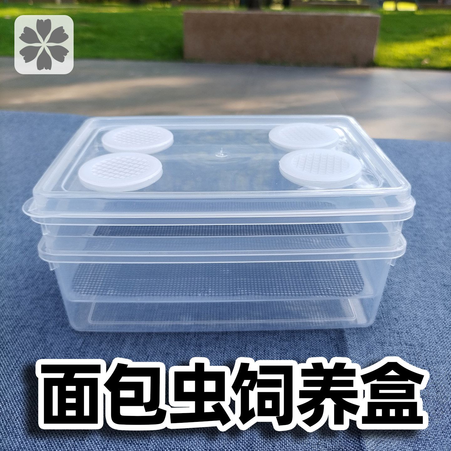 面包虫大麦虫滤屎饲养箱粉虫盒子