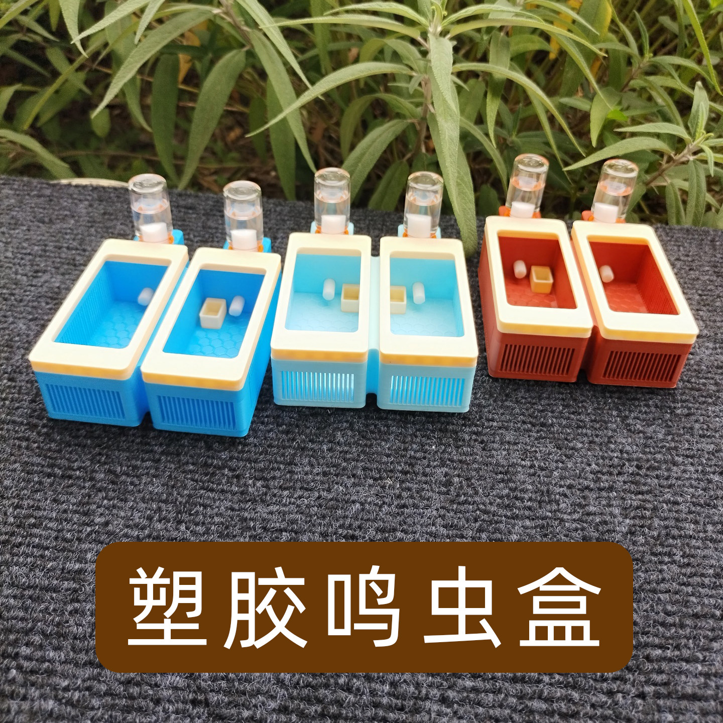 竹蛉盒塑料新款鸣虫饲养盒大黄蛉盒虫具蛉子蛉虫盒加湿器保湿