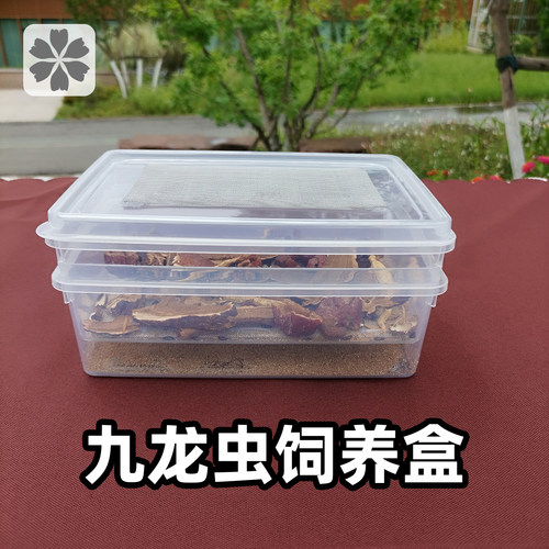 九龙虫饲养盒繁殖盒分离器