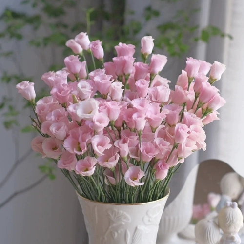 9,9 Юань 2 пачки семян цветов океана.