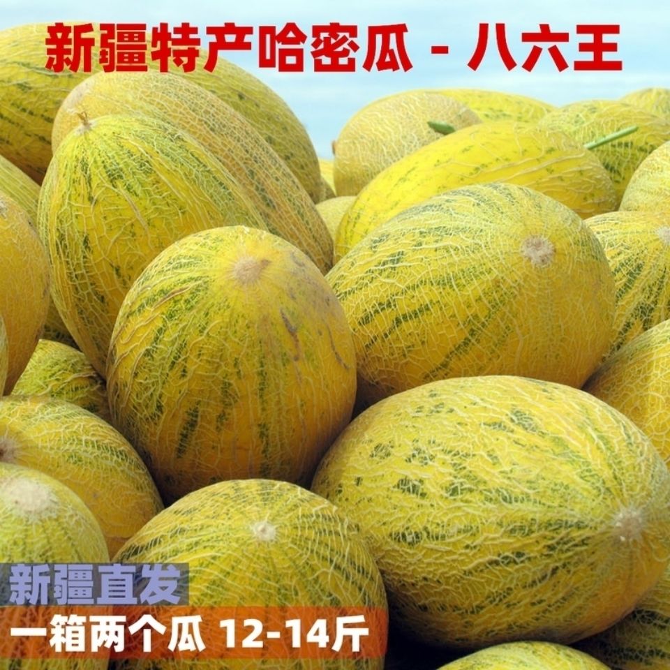 新疆特产伽师瓜八六王哈密瓜新鲜当季水果喀什甜瓜现