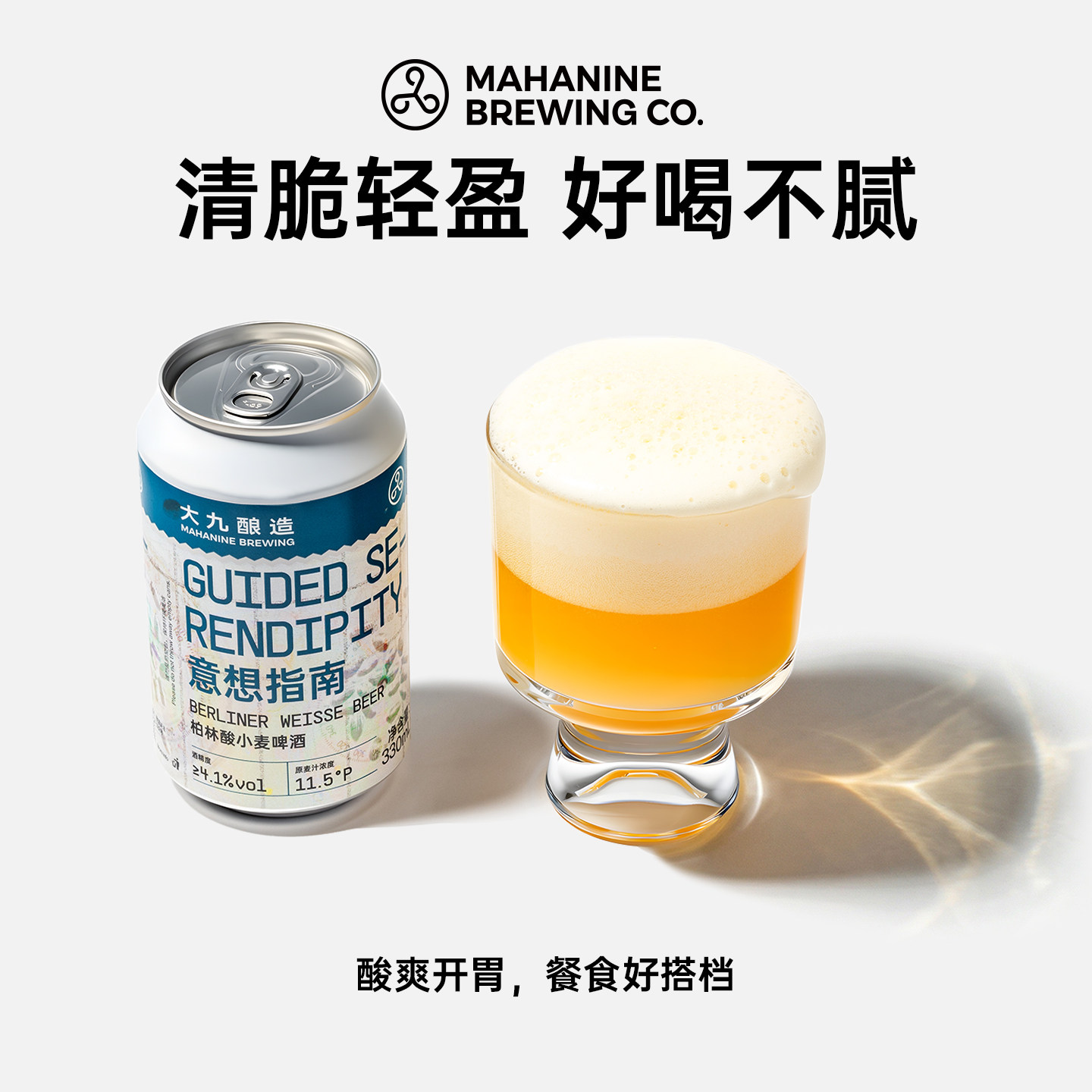 大九酿造意想指南柏林酸小麦啤酒330ml罐装国产精酿金桔柠檬酸啤