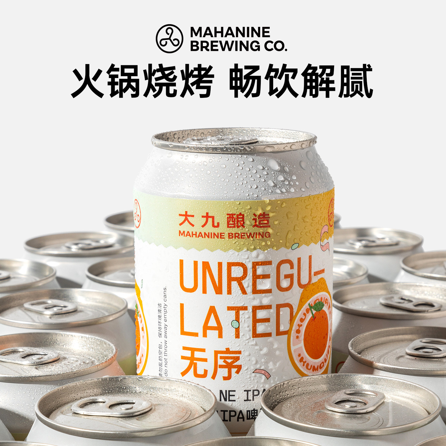 大九酿造无序酸浑浊IPA啤酒330ml*24罐整箱装国产精酿鲜橙果啤