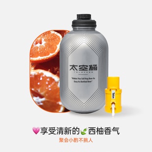 微醺易饮新手 国产大九精酿鲜啤果啤酒 大九酿造 西柚世界社交IPA