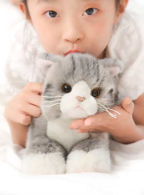 尖点柔软可爱日系仿真英短蓝黑白小橘猫咪毛绒玩具偶公仔娃娃礼物