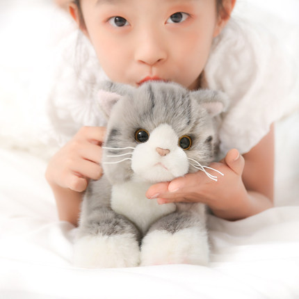 尖点柔软可爱日系仿真英短蓝黑白小橘猫咪毛绒玩具偶公仔娃娃礼物
