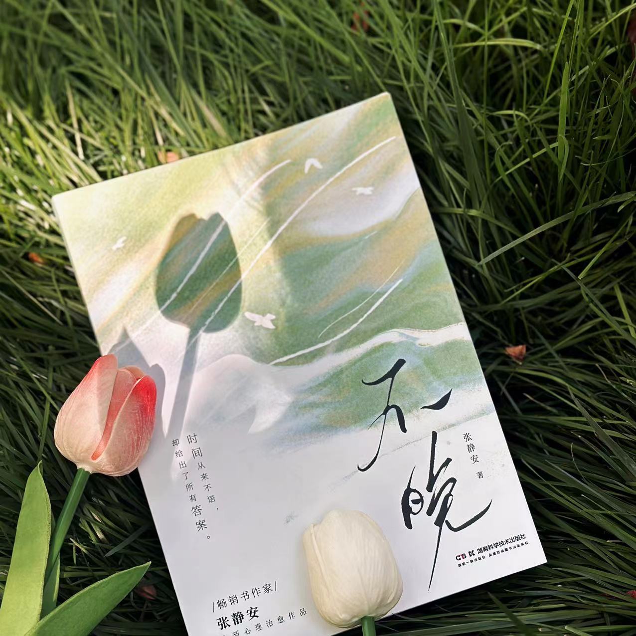 不晚   时间从来不语，却给出了所有答案 畅销书作家张静安 全新心理治愈作品 随书附赠金句语录卡两张    航一FX