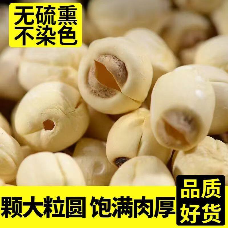 正宗福建建宁莲子原产地直销无心莲子纯天然干货新莲子带芯莲子