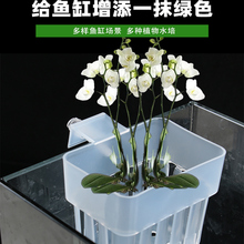 挂钩式水培定植篮水培鱼缸水培定植篮周转箱水培固定器绿萝绿植物